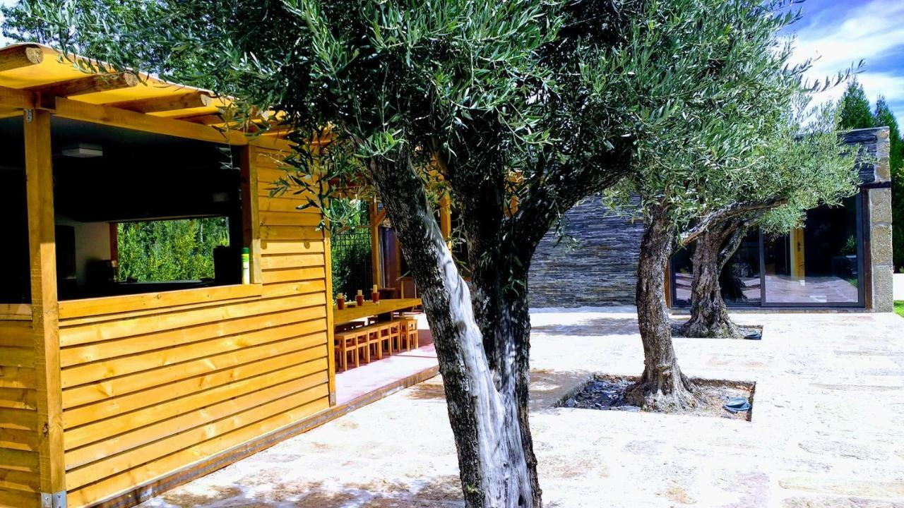 Casa Do Prado Guesthouse Vila Real Eksteriør bilde